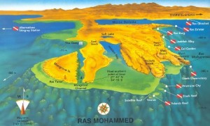 ras mohamed immersioni