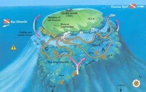 Straits of Tiran Gordon Reef