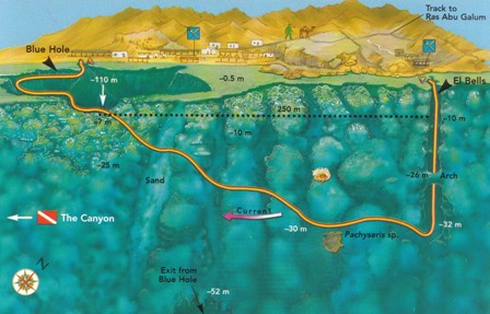 dahab dive sites the bells